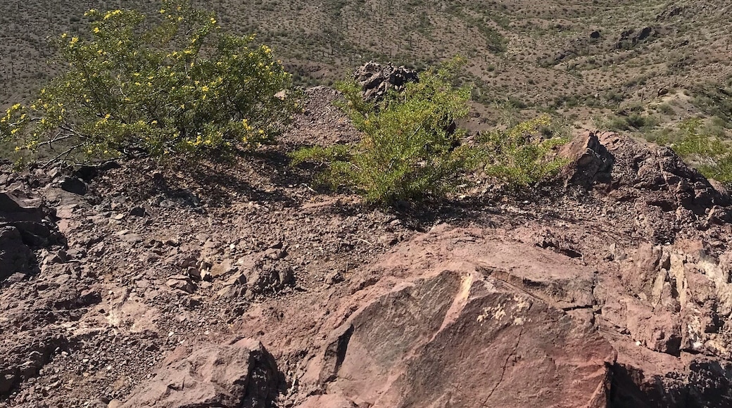 This is from the peak it’s a strong climb/hike but very well worth it