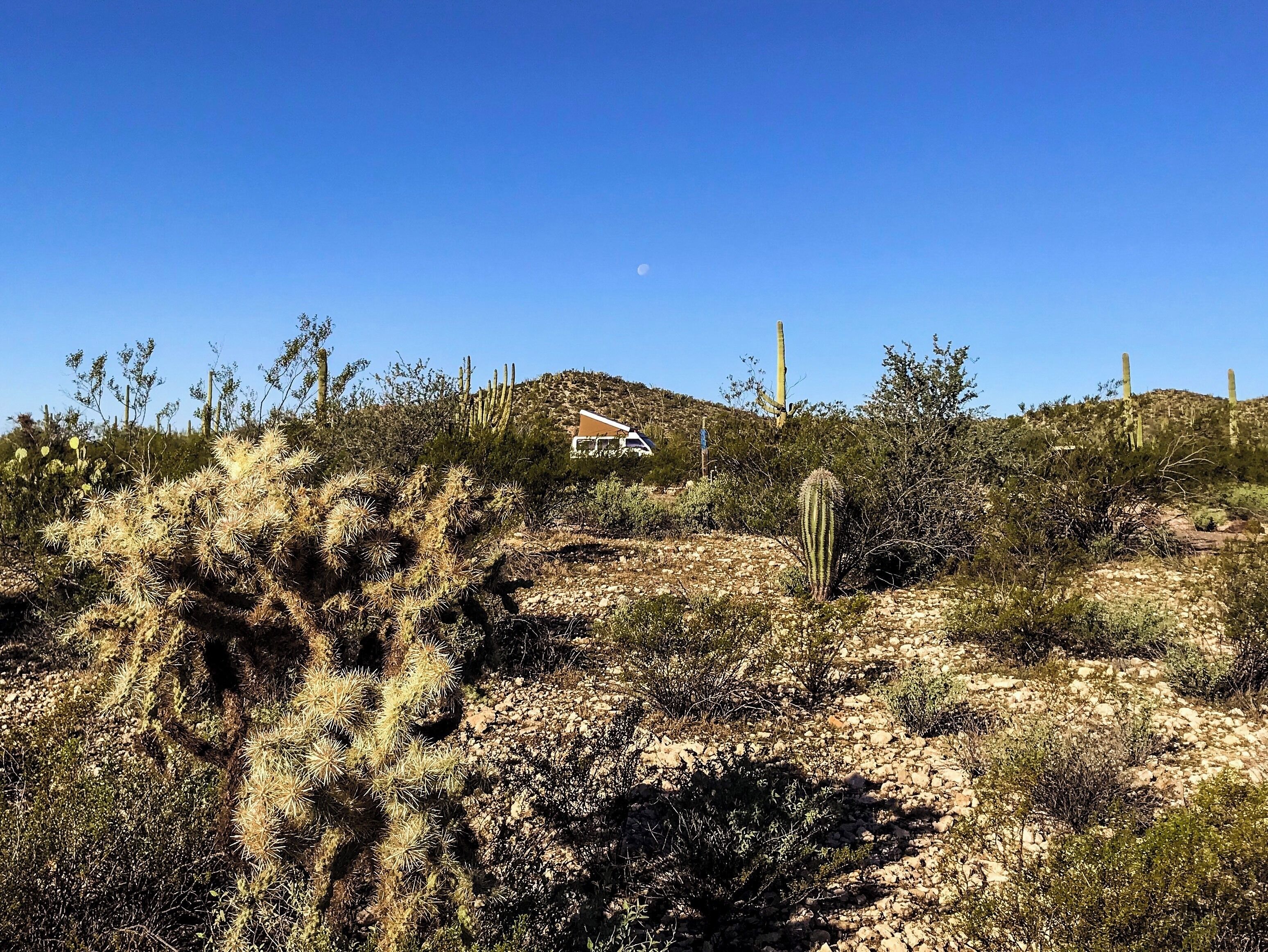 Spot the van. #vanlife #arizona #adventure #desert #greatoutdoors #camping #nationalmonument