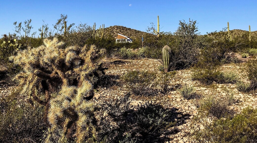 Spot the van. #vanlife #arizona #adventure #desert #greatoutdoors #camping #nationalmonument
