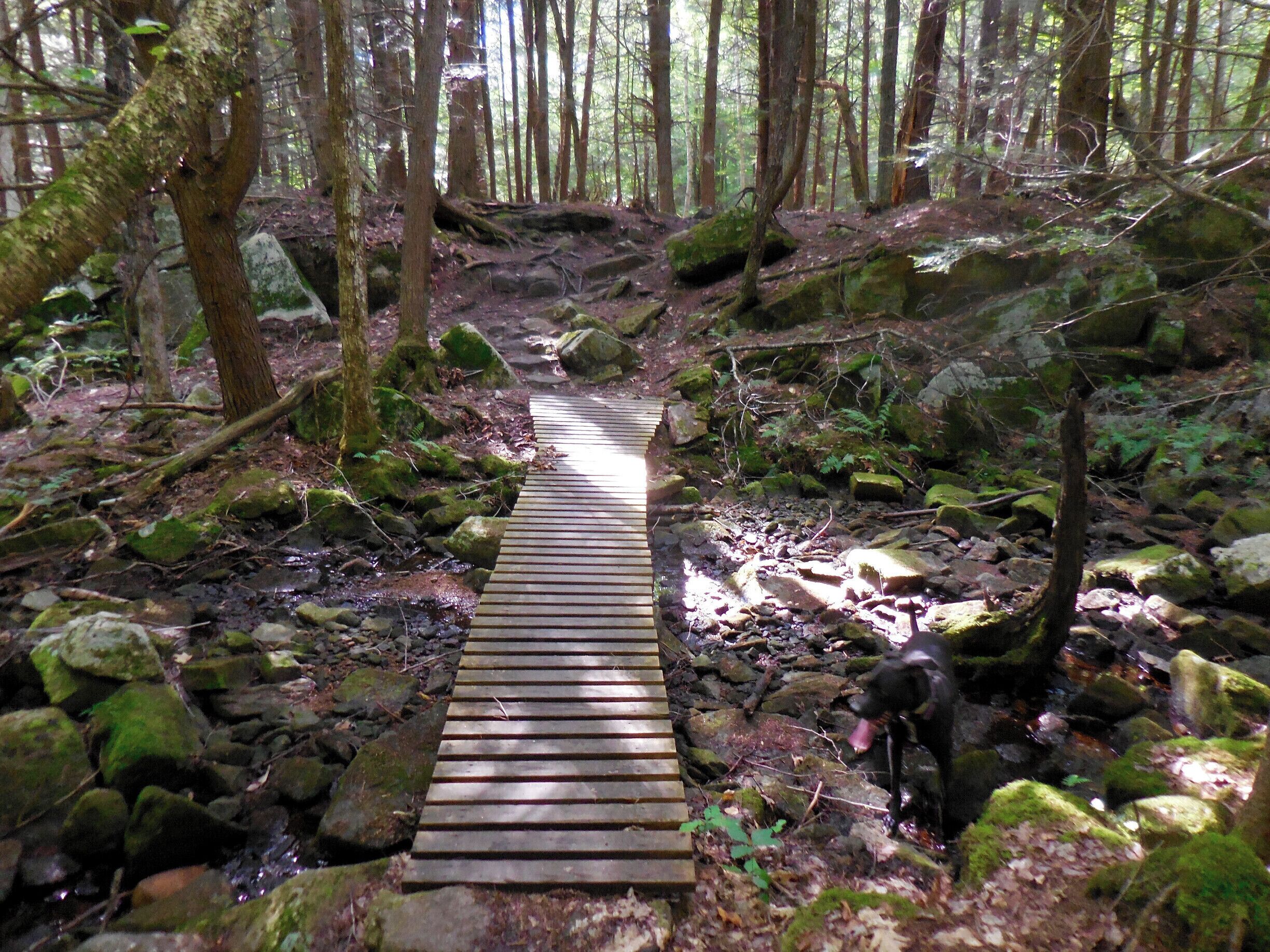Boston Lot  Mountain Bike Trail(s),  the White Dot Trail.  With multiple access points, this series of trails spreads out over 1,000's of acres.  As you head into the interior, the terrain is rougher, and gradually quieter,  with only an occasional airplane to interrupt the sounds of nature, and a wonderful sense of isolation.  All this within the City of Lebanon, NH limits.   Boston Lot Reservoir, with access only by bike, or hiking is rarely used, and is a wonderful swim in the summertime.  Excellent too for trophy sized small mouth bass if you lug up a canoe.