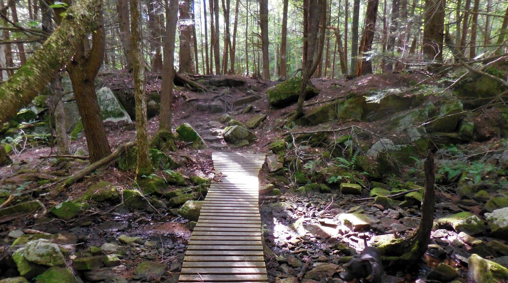 Boston Lot Mountain Bike Trail(s), the White Dot Trail. With multiple access points, this series of trails spreads out over 1,000's of acres. As you head into the interior, the terrain is rougher, and gradually quieter, with only an occasional airplane to interrupt the sounds of nature, and a wonderful sense of isolation. All this within the City of Lebanon, NH limits. Boston Lot Reservoir, with access only by bike, or hiking is rarely used, and is a wonderful swim in the summertime. Excellent too for trophy sized small mouth bass if you lug up a canoe.