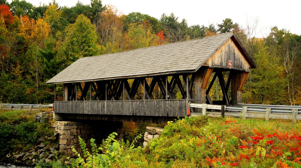 (01754) packard hill bridge