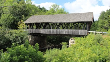 Packard Hill Covered Bridge in Lebanon, NH