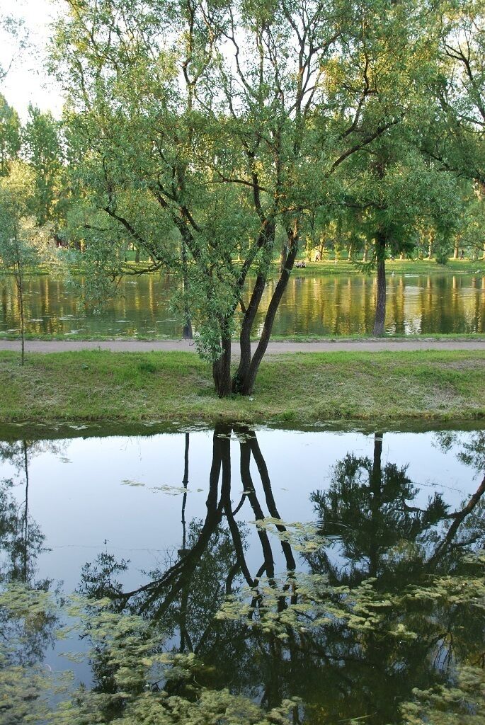 Victory... stay, relax, how many victim!!!