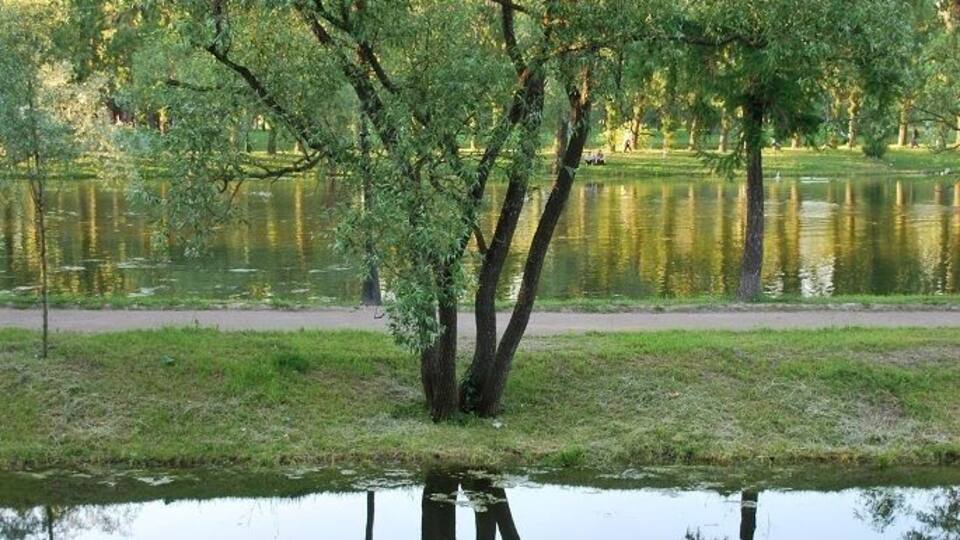 Victory... stay, relax, how many victim!!!