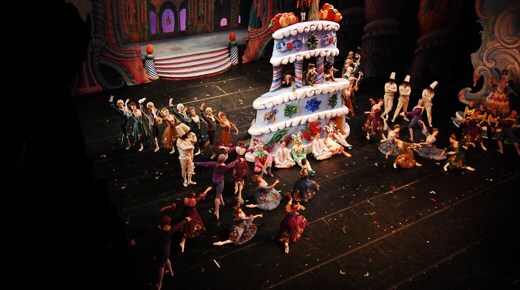 I dreamt of becoming a ballerina when I was a little girl, so I studied ballet and restarted the classes two years ago.
...
Watching 'The Nutcracker' in Skt. Petersburg was a treat and left me with big tears of joy!