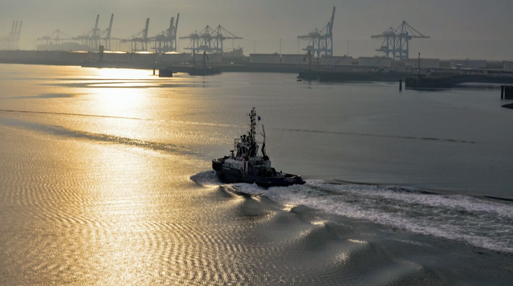 Early morning tug boat in the port area.