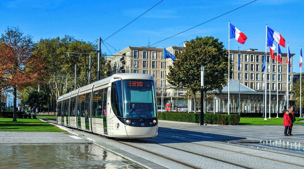 Modern fleet of teams provide fast and easy transit across Let Havre.