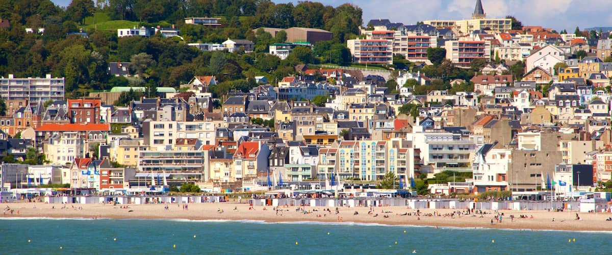 A coastal cityscape with a beach, dense urban buildings, and a hill with greenery.