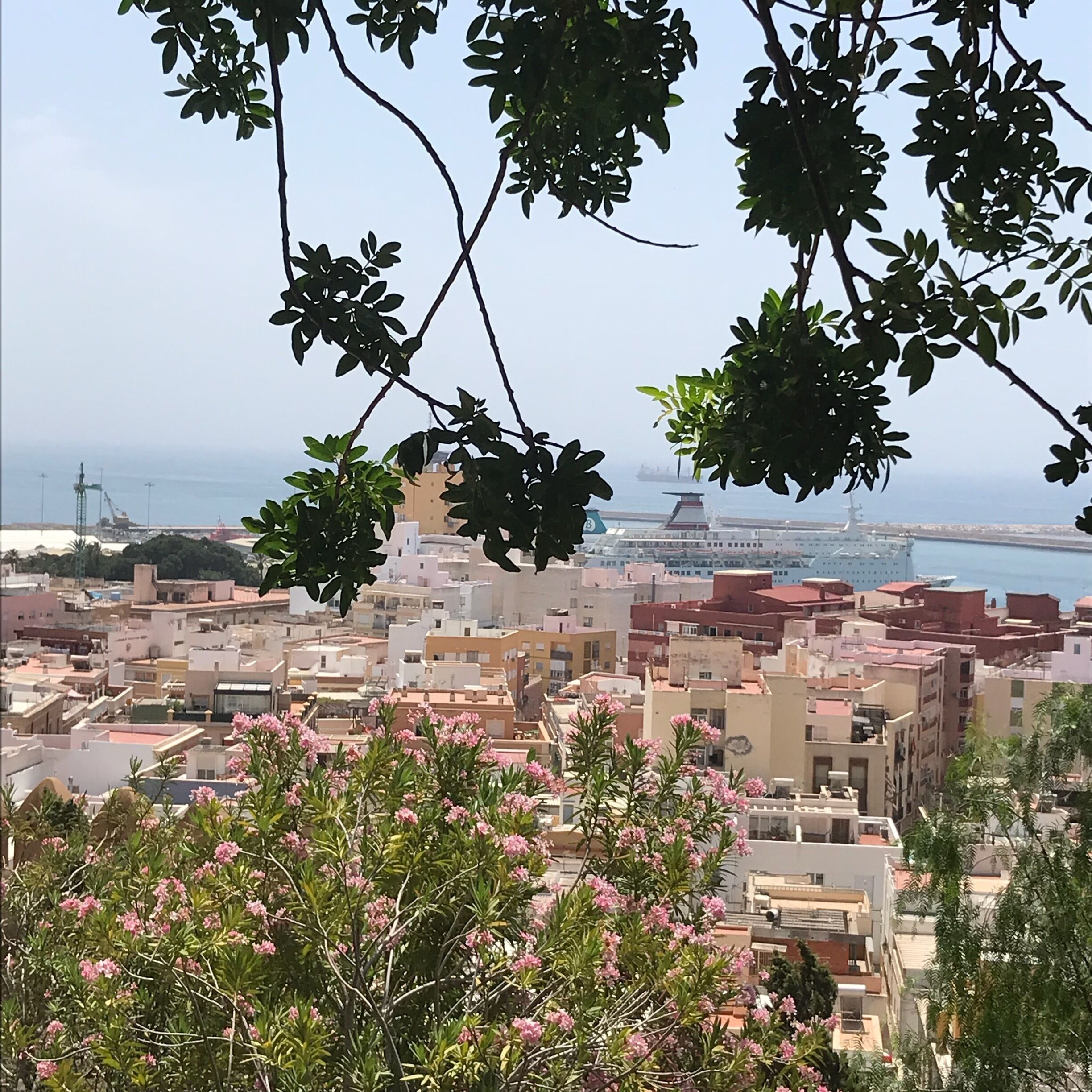 A view of Almería from the castle.