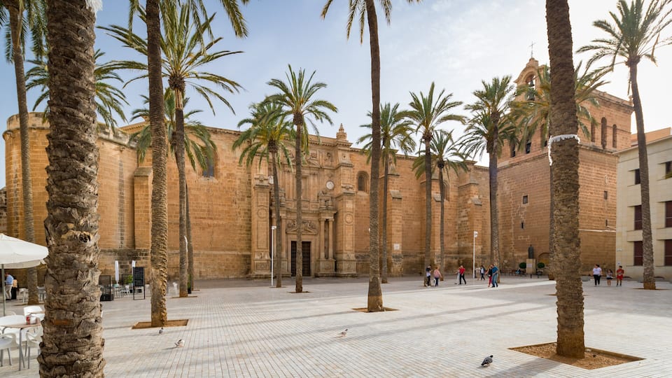 A courtyard with palm trees and a historic building with a clock tower.