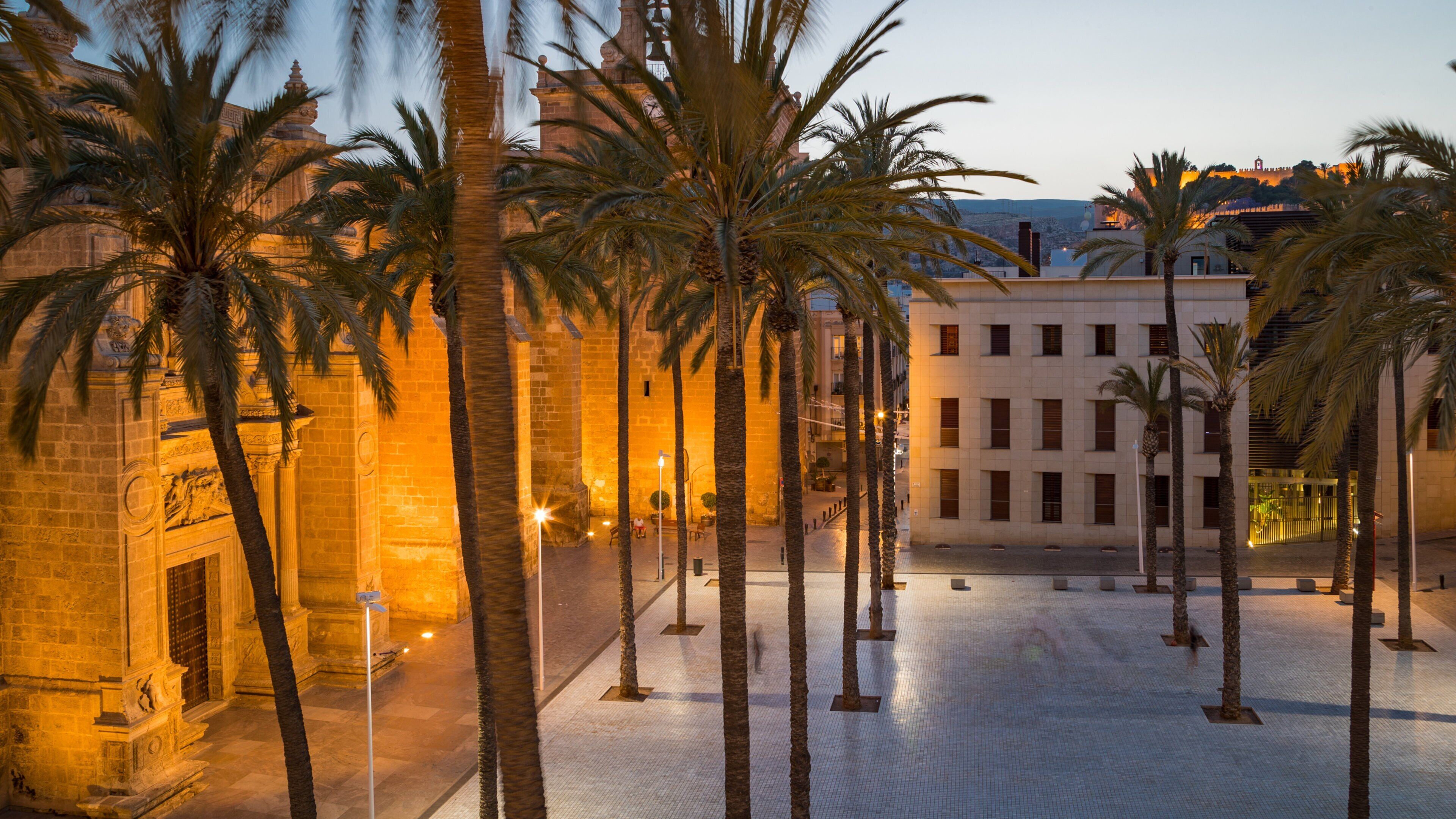 A plaza with palm trees and a historic building with illuminated windows.