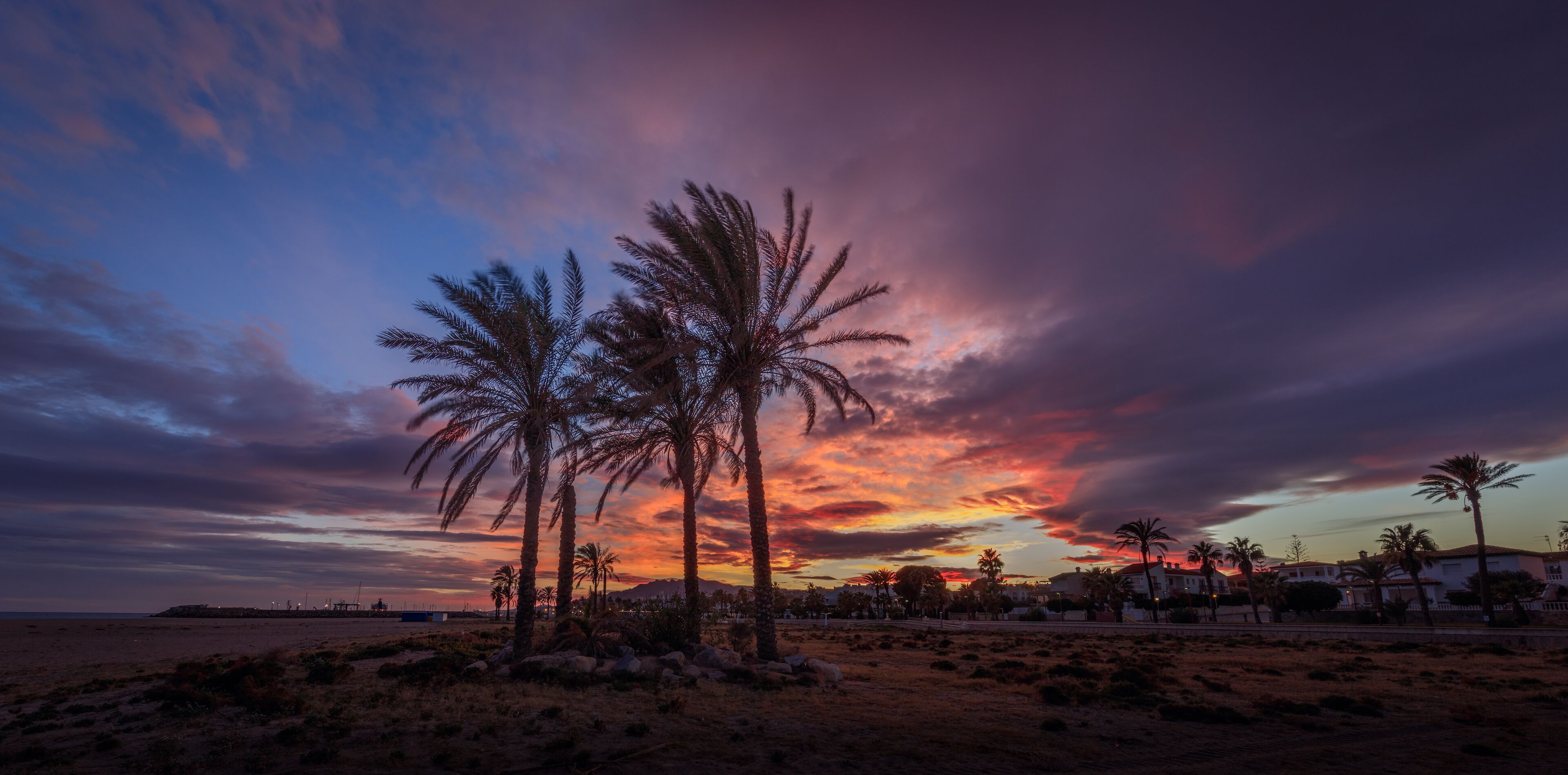 A sunset over a beach with palm trees and a distant shoreline.
