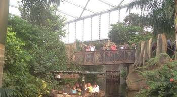 Boat Ride at Gondwanaland Land, Zoo Leipzig #KidsFun