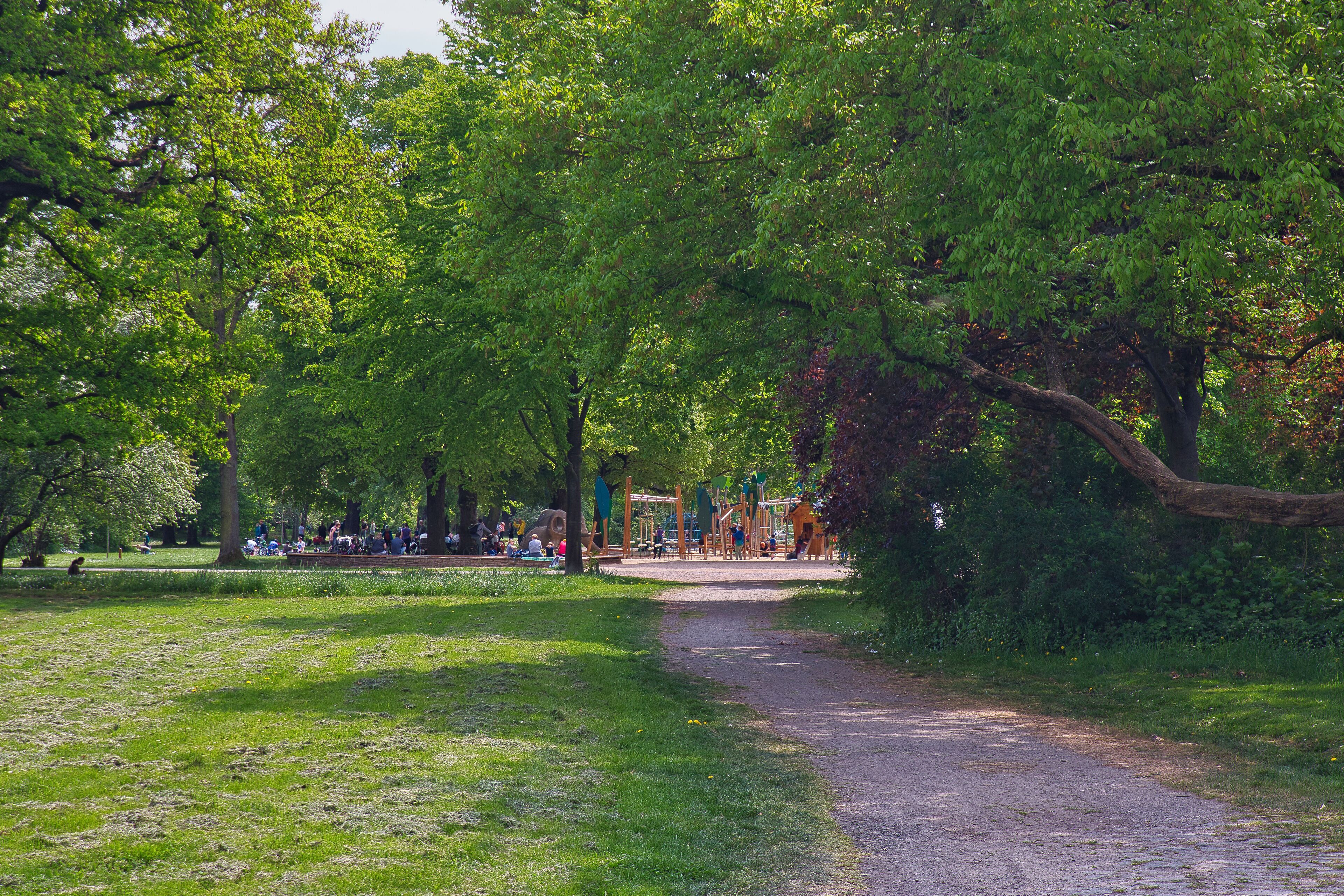 Un parque con un sendero de tierra, césped verde, árboles y un área de juegos.