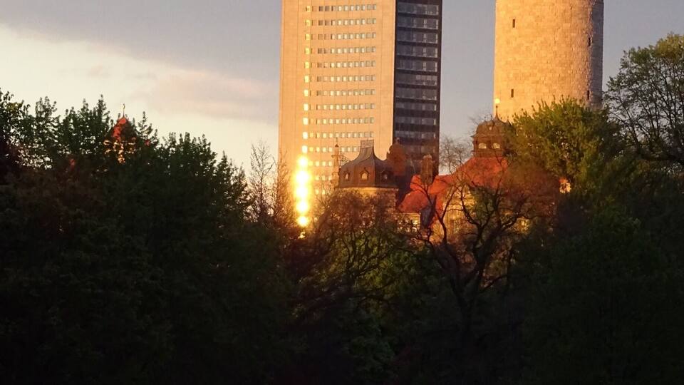 Very important place to visit while in Cardiff. Must see the castle, the tower, the fort and the animal wall!