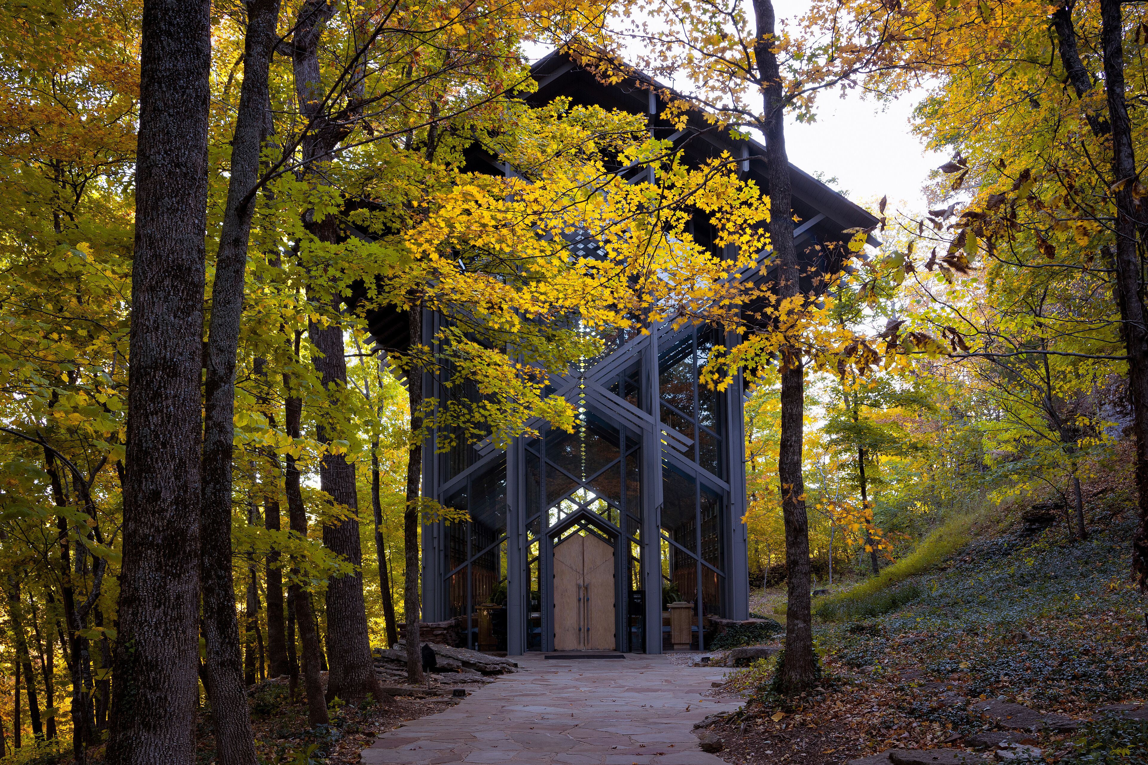 A wooden cabin with a glass facade surrounded by autumn foliage.