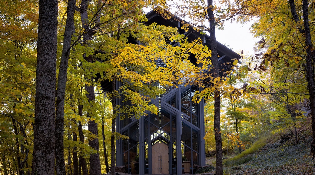 A wooden cabin with a glass facade surrounded by autumn foliage.