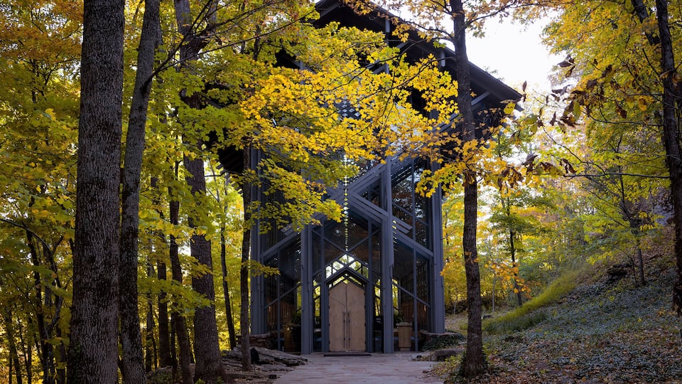A wooden cabin with a glass facade surrounded by autumn foliage.