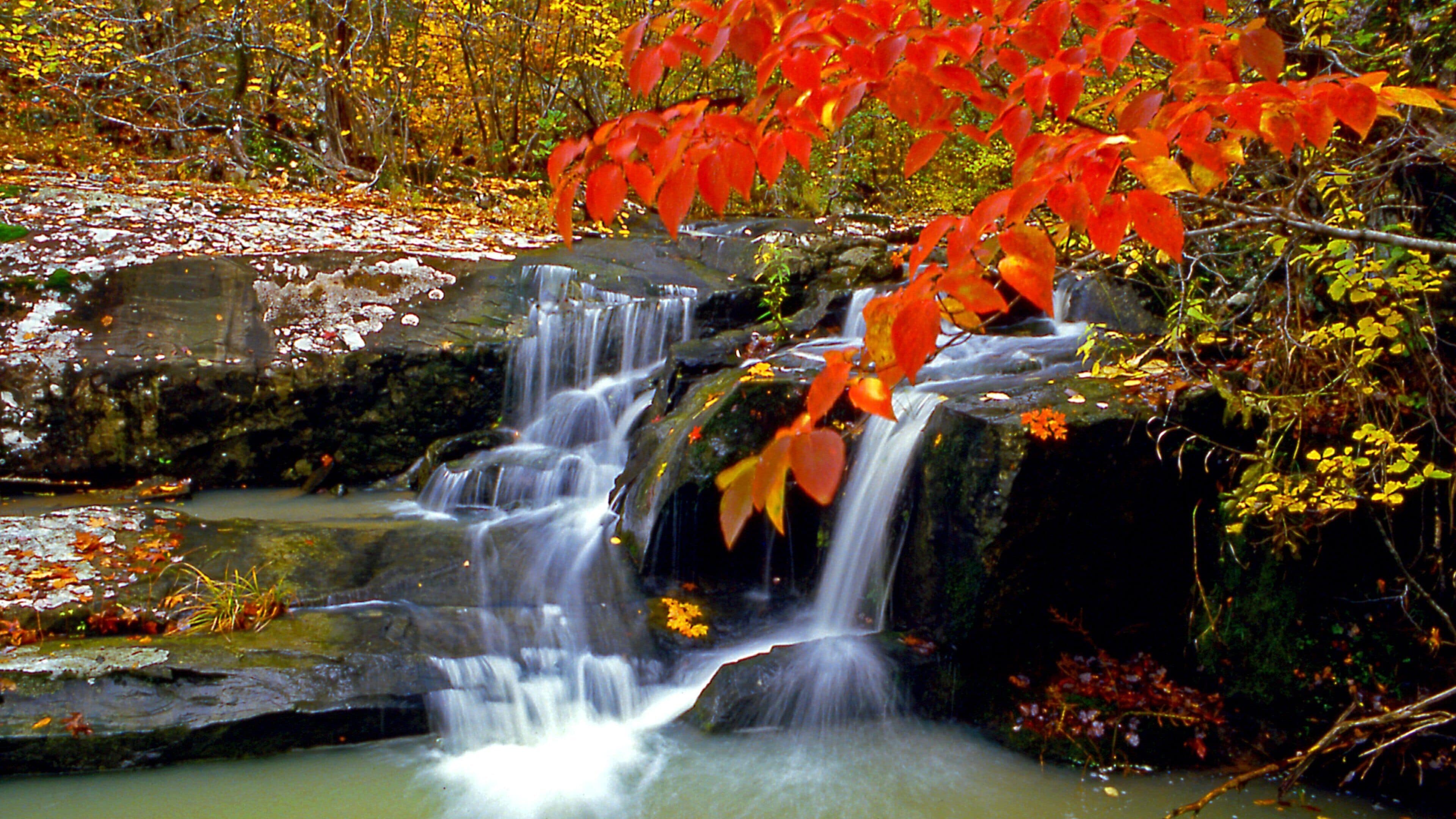 Southern Arkansas - Timberlands featuring fall colors and a river or creek