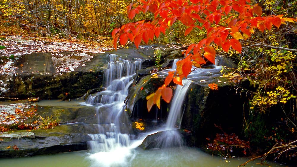 A waterfall cascading over rocks in a forested area with autumn foliage.