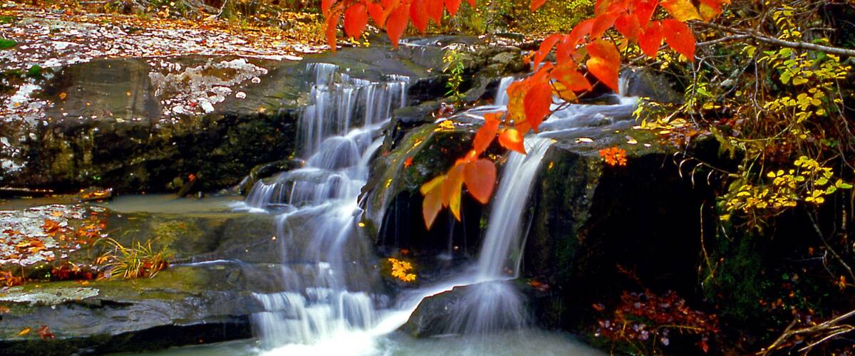 A waterfall cascading over rocks in a forested area with autumn foliage.