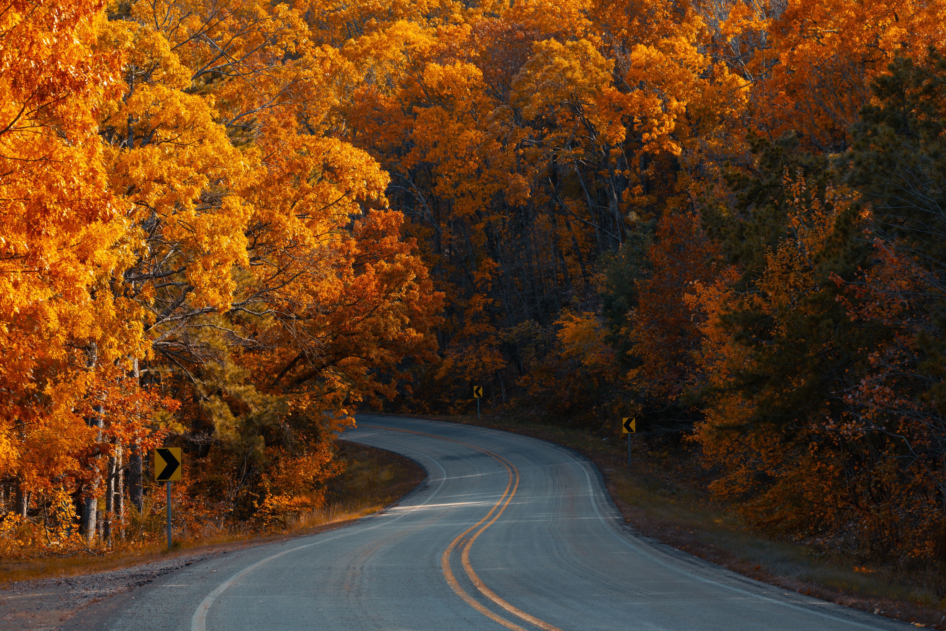 A winding road through a forest with autumn-colored trees.