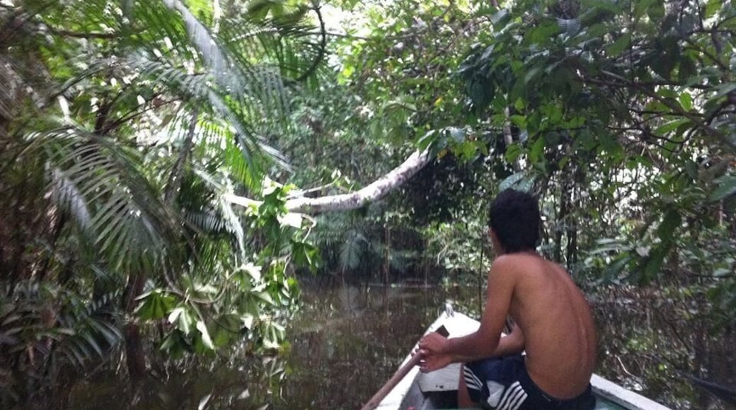 On the Amazon