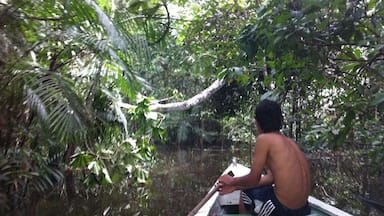 On the Amazon
