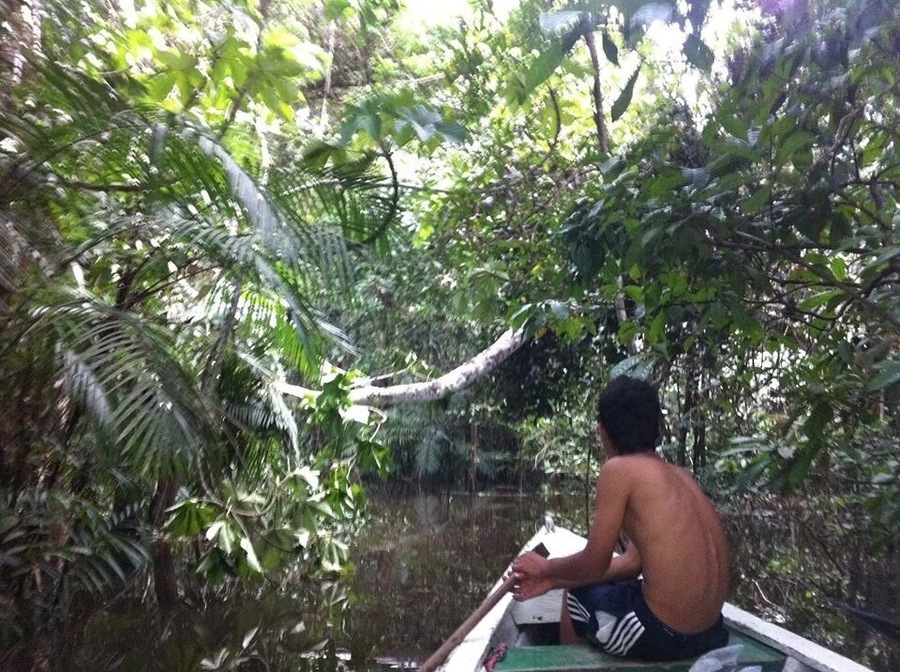 On the Amazon