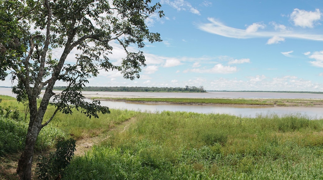 Topical amazonian river village Mocagua near Leticia, Colombia.