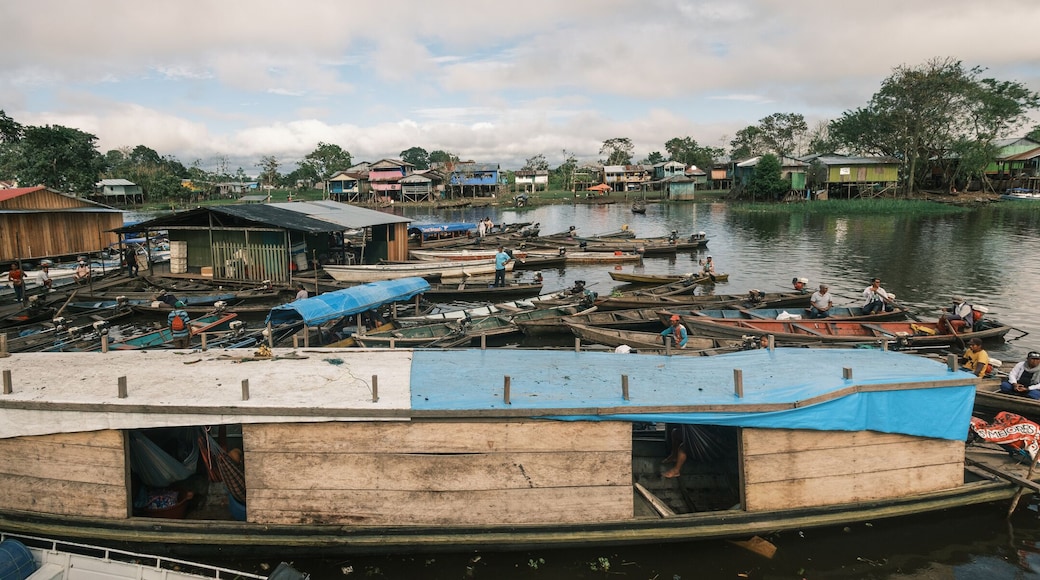 leticia Colombia amazon rainforest river