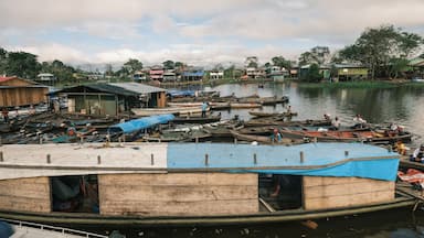leticia Colombia amazon rainforest river