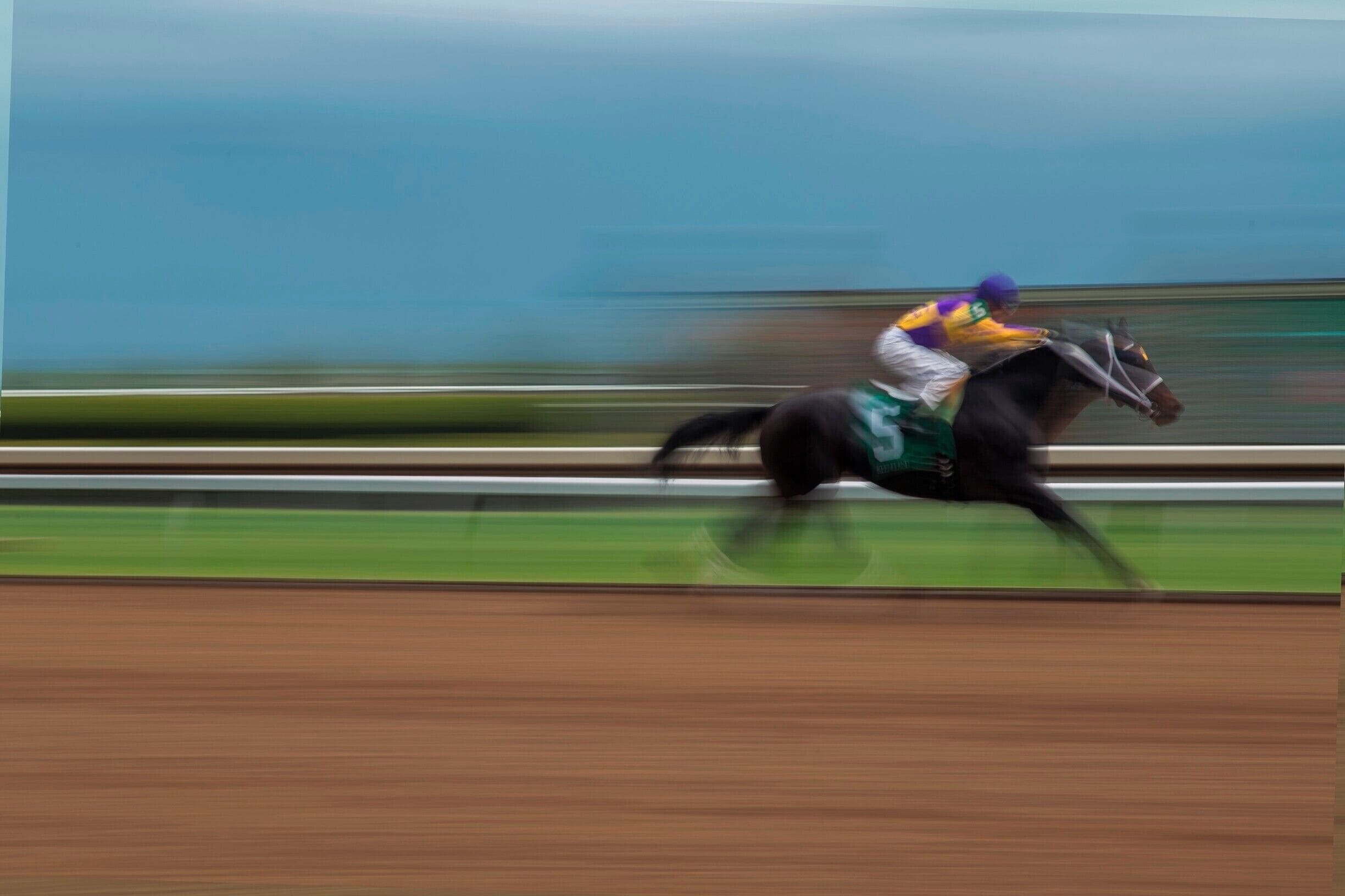 Every April the horses come out to play!