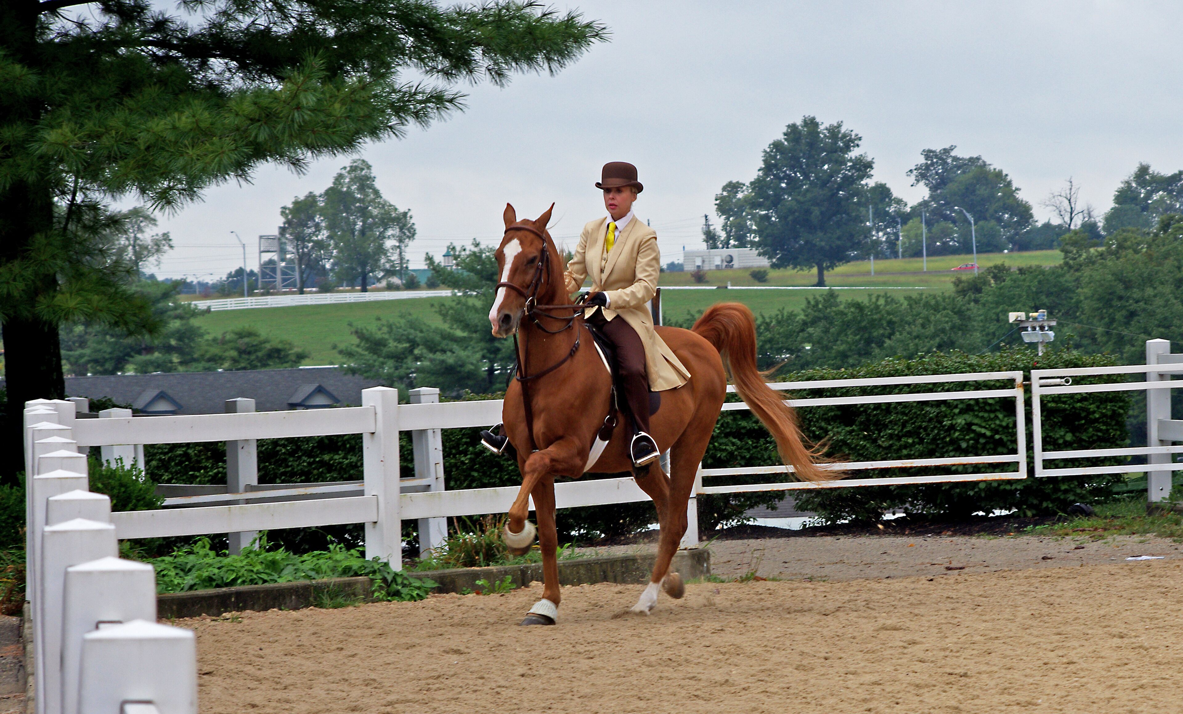 Kentucky Horse Park is a working horse farm and an educational theme park opened in 1978 in Lexington, Kentucky. It is located off Kentucky State Highway 1973 (Iron Works Pike) and Interstate 75, at Exit 120, in northern Fayette County in the United States. The equestrian facility is a 1,224-acre (4.95 km2) park dedicated to "man's relationship with the horse." Open to the public, the park has a twice daily Horses of the World Show, showcasing both common and rare horses from around the globe. The horses are ridden in authentic costume. Each year the park is host to a number of special events and horse shows.