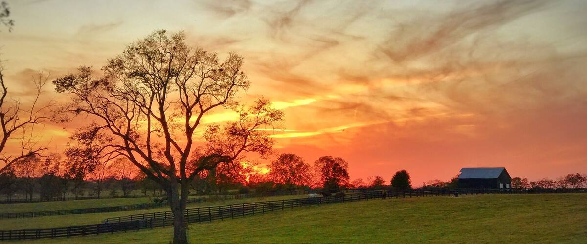 Just a late Kentucky sunset. The farms along Spurr road and around Old Frankfort Pike are some of the most iconic and beautiful horse farms in Kentucky and America. Come in the spring or fall to see the the horses in pasture.