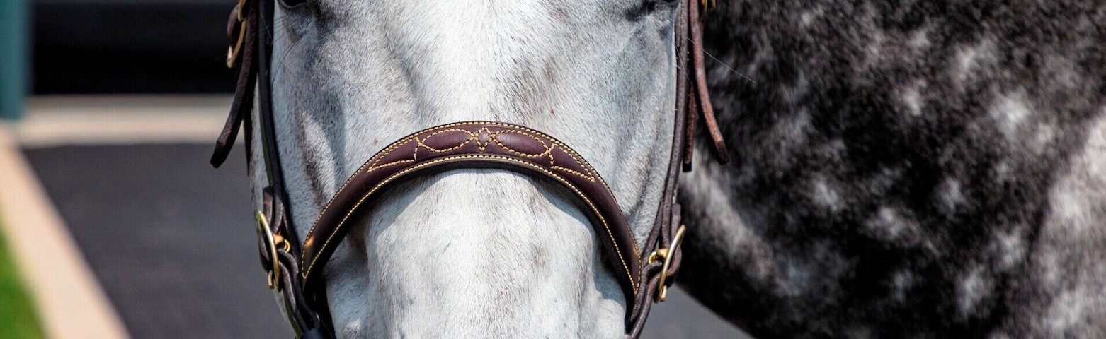 If you ever wanted to see many of the recent Kentucky derby winners Darby farms is your place. They have a wonderful tour and you can get to meet plenty of the horses.