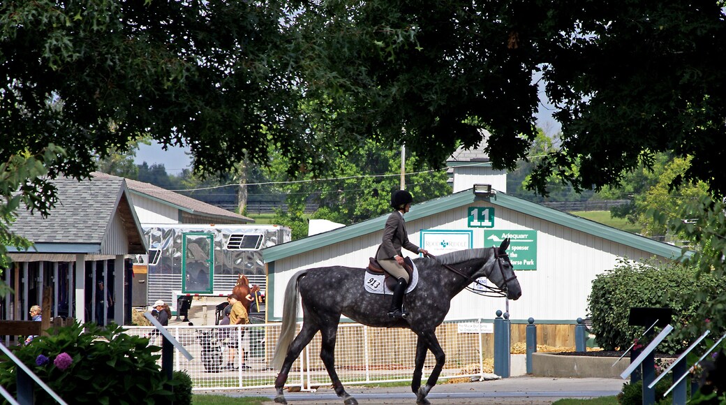 Kentucky Horse Park is a working horse farm and an educational theme park opened in 1978 in Lexington, Kentucky. It is located off Kentucky State Highway 1973 (Iron Works Pike) and Interstate 75, at Exit 120, in northern Fayette County in the United States. The equestrian facility is a 1,224-acre (4.95 km2) park dedicated to "man's relationship with the horse." Open to the public, the park has a twice daily Horses of the World Show, showcasing both common and rare horses from around the globe. The horses are ridden in authentic costume. Each year the park is host to a number of special events and horse shows.