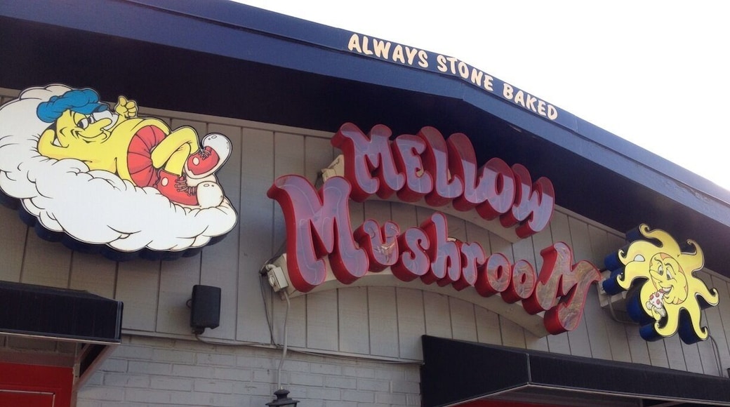 Super awesome pizza place. Very artsy and hippie. Think it's a requirement to smoke weed to work here :P maybe that's why their pizza is so good!