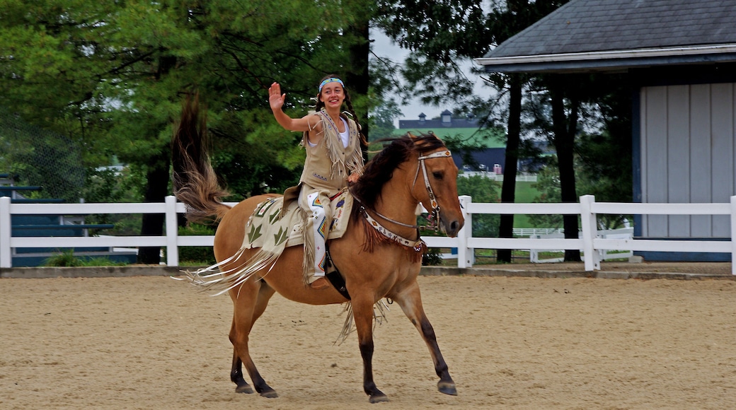 Kentucky Horse Park is a working horse farm and an educational theme park opened in 1978 in Lexington, Kentucky. It is located off Kentucky State Highway 1973 (Iron Works Pike) and Interstate 75, at Exit 120, in northern Fayette County in the United States. The equestrian facility is a 1,224-acre (4.95 km2) park dedicated to "man's relationship with the horse." Open to the public, the park has a twice daily Horses of the World Show, showcasing both common and rare horses from around the globe. The horses are ridden in authentic costume. Each year the park is host to a number of special events and horse shows.