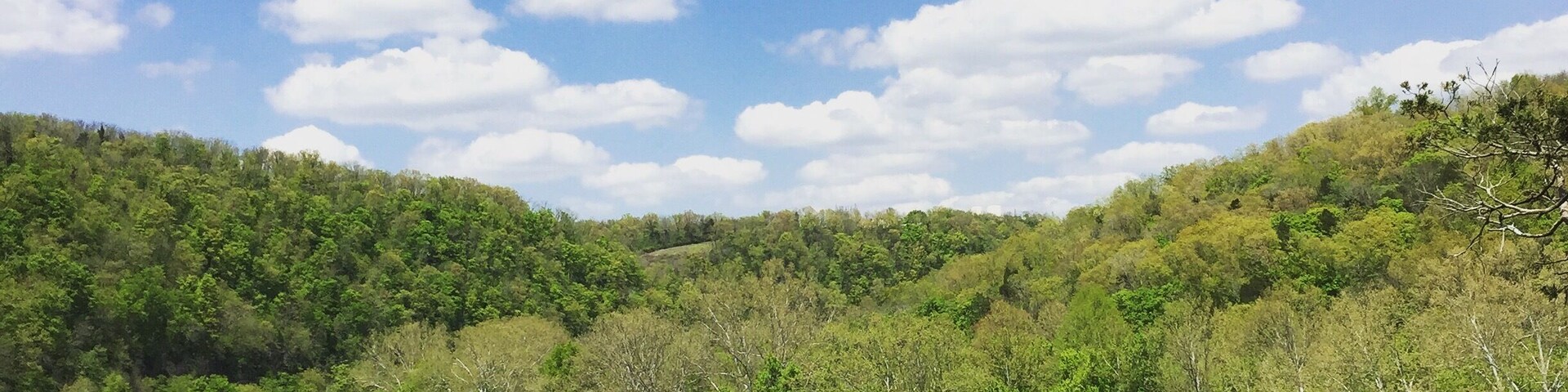 View of the Kentucky River from the Red trail at Raven Run. Spotted 14 specie of wild flower🌸 along the red and yellow trails. One of the better side trips around Lexington.