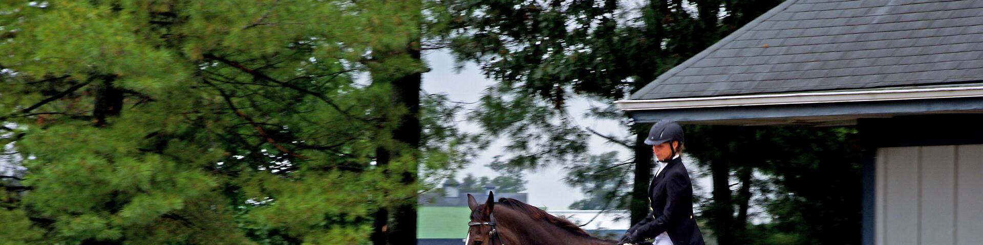 Kentucky Horse Park is a working horse farm and an educational theme park opened in 1978 in Lexington, Kentucky. It is located off Kentucky State Highway 1973 (Iron Works Pike) and Interstate 75, at Exit 120, in northern Fayette County in the United States. The equestrian facility is a 1,224-acre (4.95 km2) park dedicated to "man's relationship with the horse." Open to the public, the park has a twice daily Horses of the World Show, showcasing both common and rare horses from around the globe. The horses are ridden in authentic costume. Each year the park is host to a number of special events and horse shows.