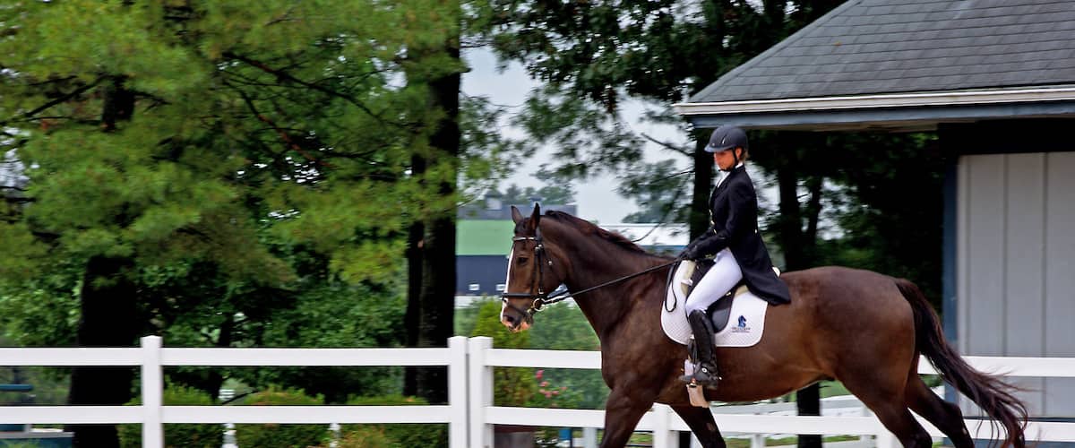Kentucky Horse Park is a working horse farm and an educational theme park opened in 1978 in Lexington, Kentucky. It is located off Kentucky State Highway 1973 (Iron Works Pike) and Interstate 75, at Exit 120, in northern Fayette County in the United States. The equestrian facility is a 1,224-acre (4.95 km2) park dedicated to "man's relationship with the horse." Open to the public, the park has a twice daily Horses of the World Show, showcasing both common and rare horses from around the globe. The horses are ridden in authentic costume. Each year the park is host to a number of special events and horse shows.