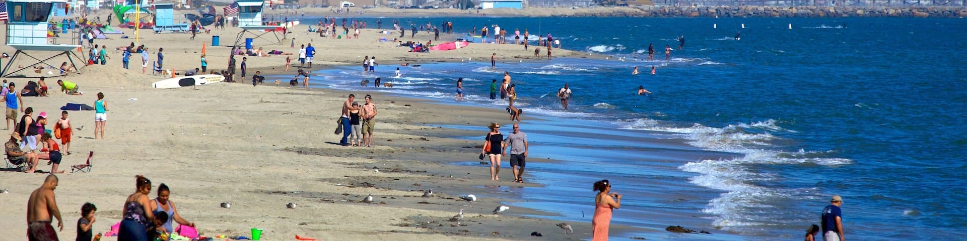 Long Beach featuring general coastal views, a beach and kite surfing
