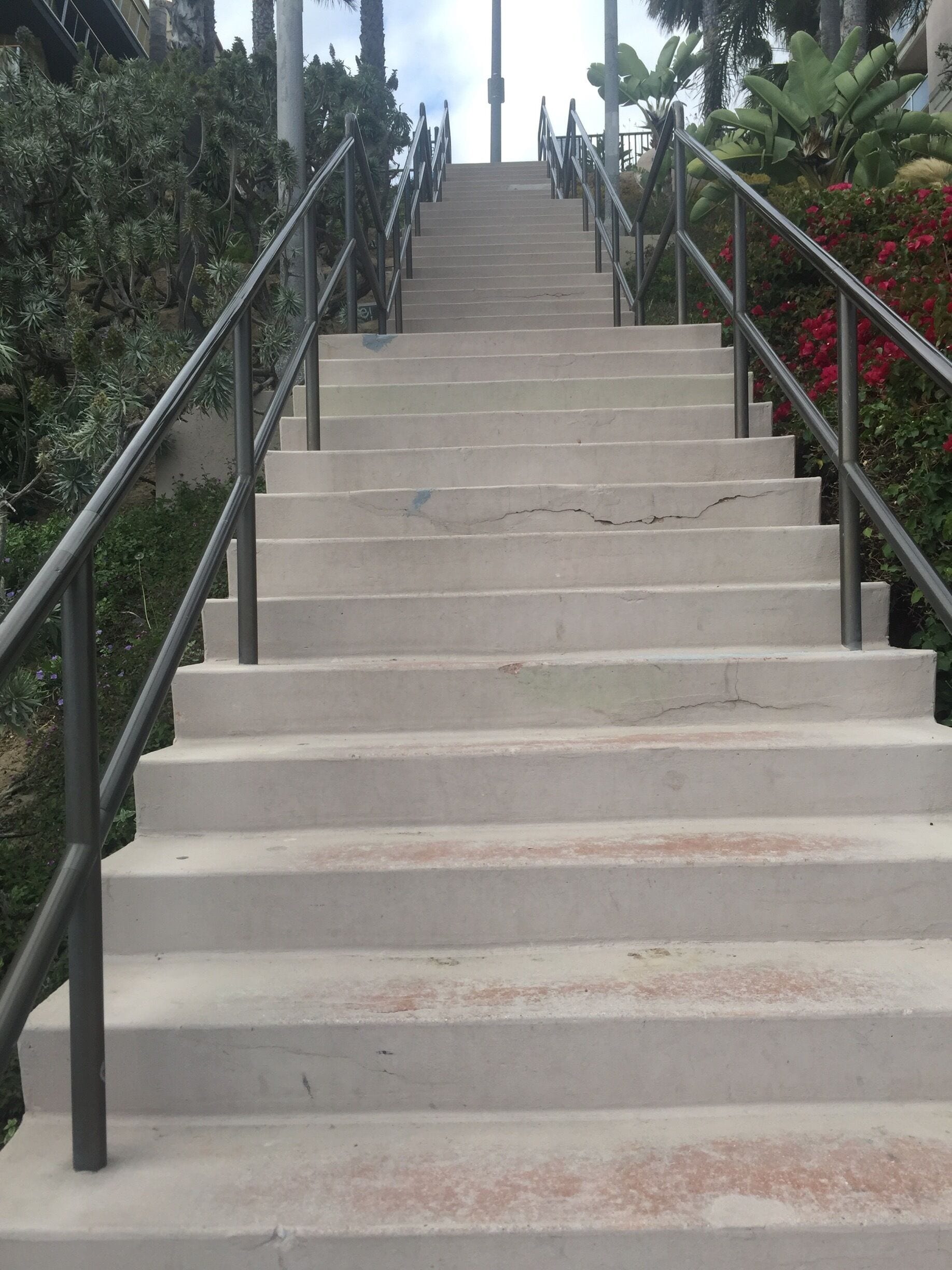 Going home I have to get up these! LOL ocean Blvd 