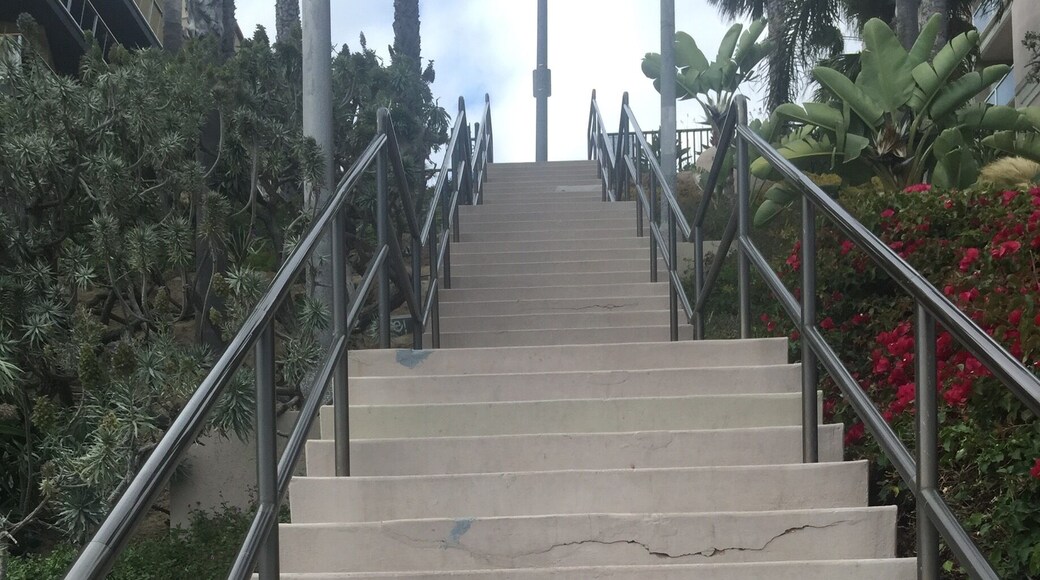 Going home I have to get up these! LOL ocean Blvd