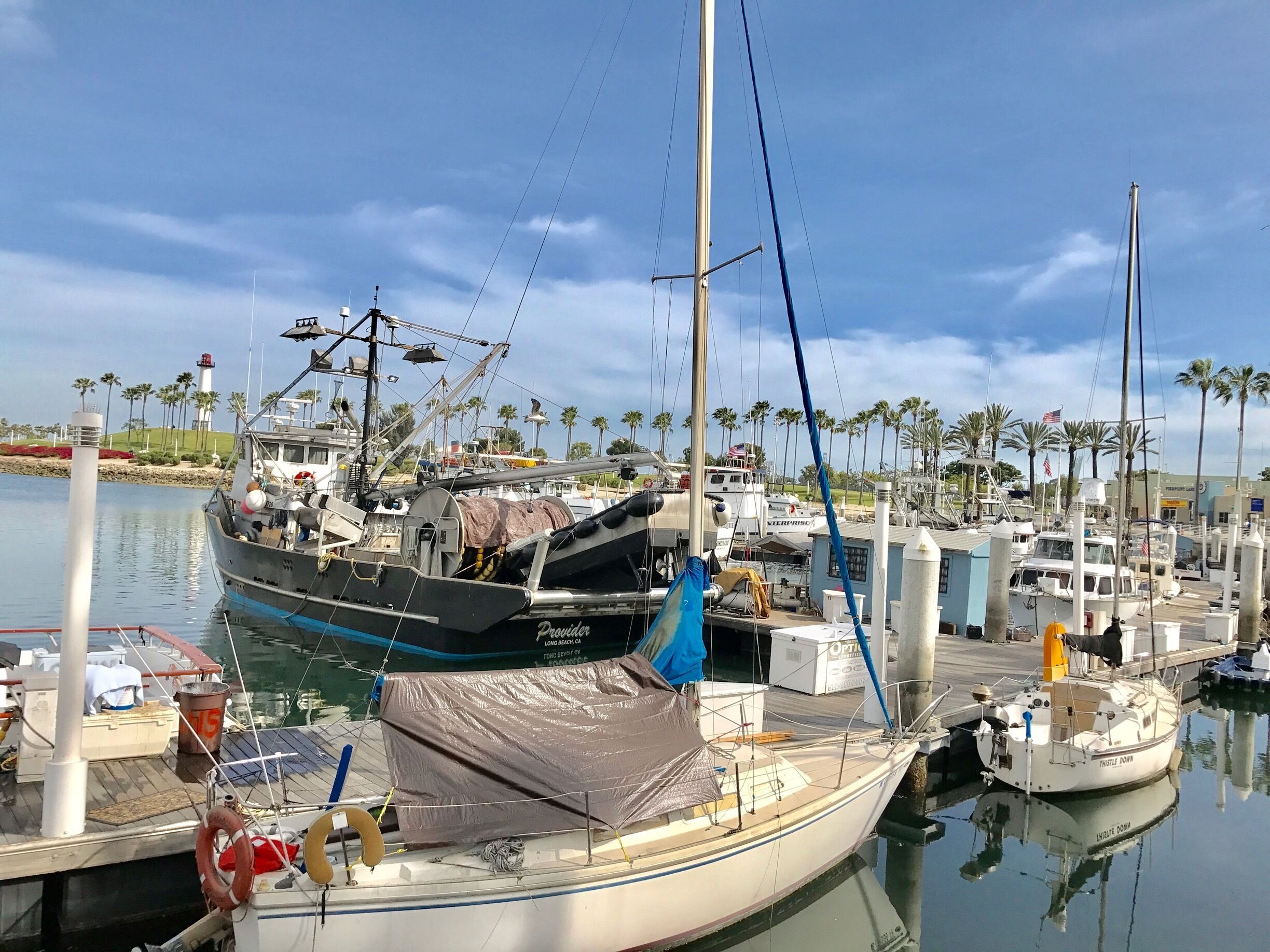 A moment of secret peace, while farther away the world buzzes on