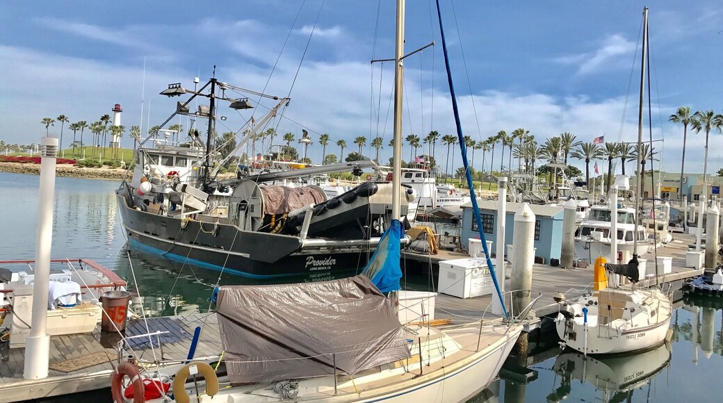 A moment of secret peace, while farther away the world buzzes on