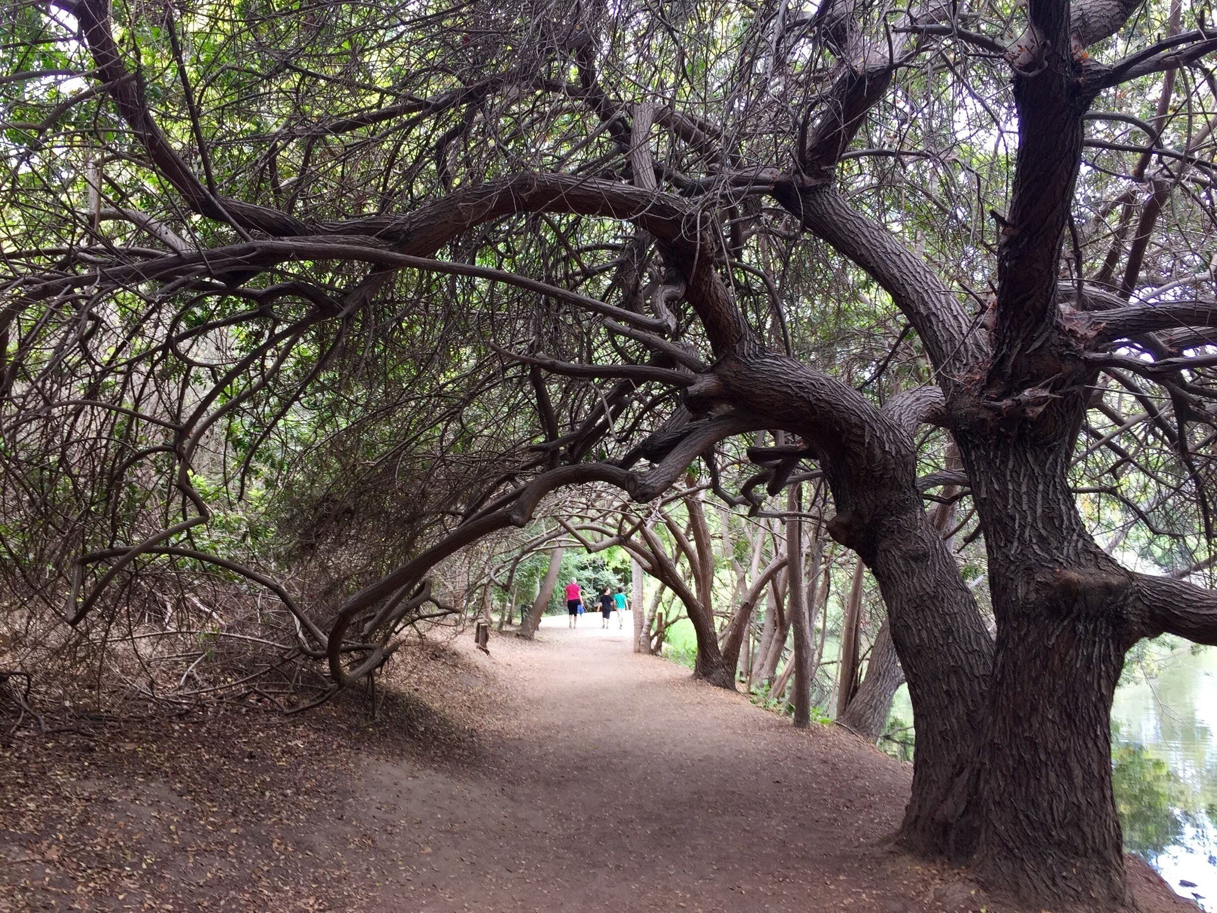 Beautiful oasis in Long Beach, California. It only has a couple of trails but they are very scenic and you get to see a lot of the fauna and flora of the area. It is best in spring but it is a respite from the heat in the summer.