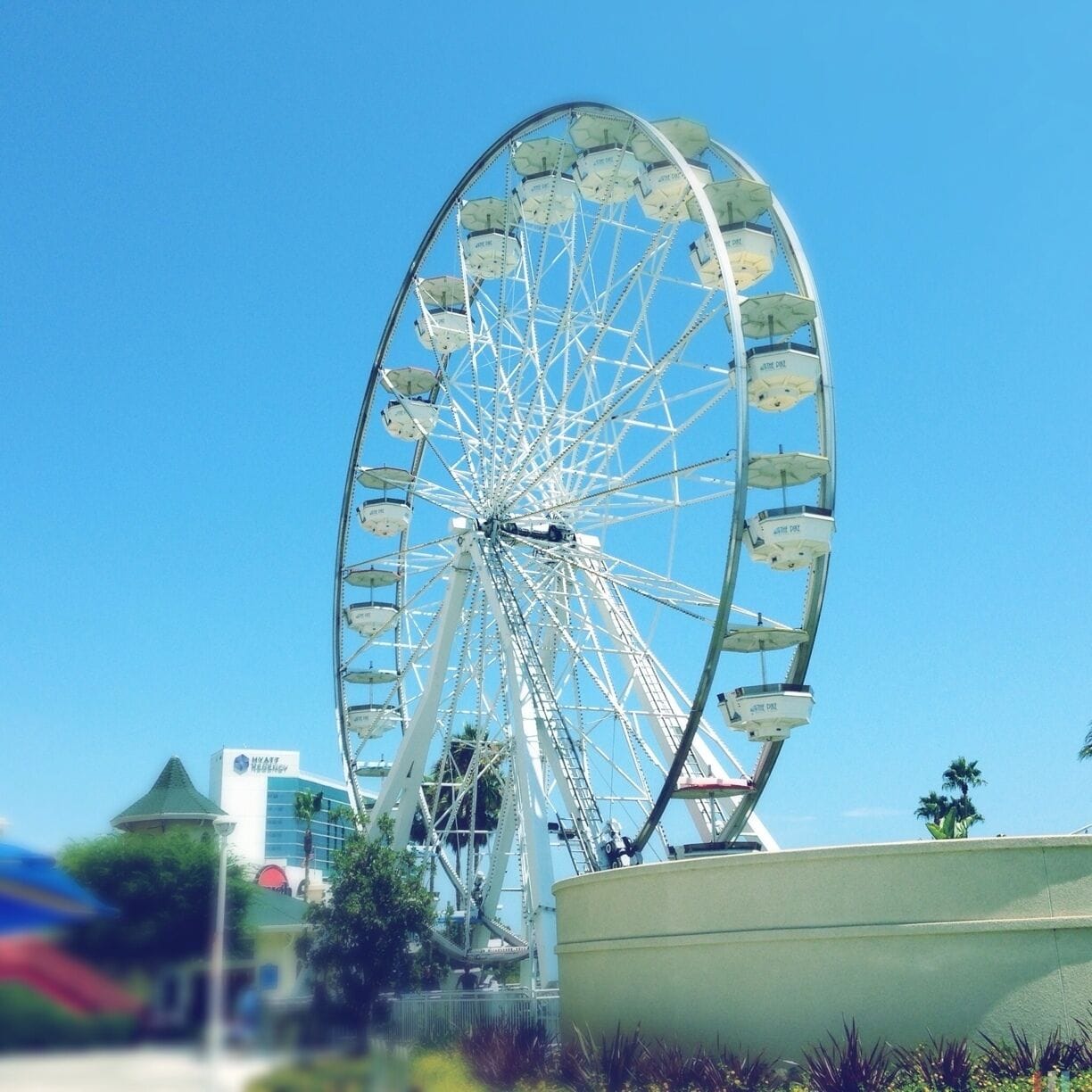 A Ferris wheel & a merry go round is all that's left of the great amusement park "The Pike" in Long Beach.
